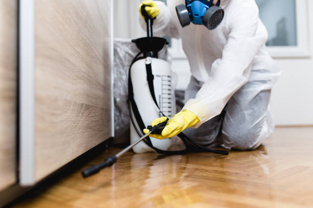 Best Exterminator Services  in Vinita, OK