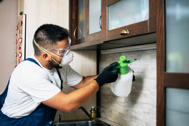 Best Residential Pest Control  in Vinita, OK
