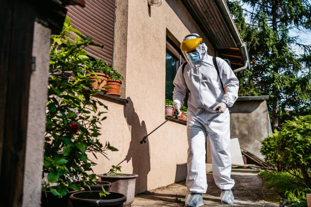 Best Pest Control Treatment  in Vinita, OK