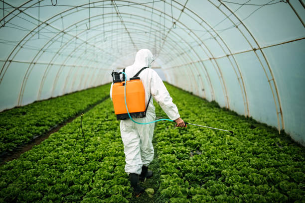 Best Pest Control Near Me  in Vinita, OK