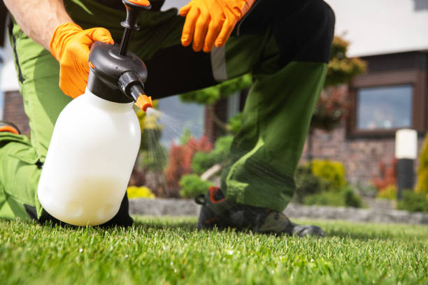 Best Flea Control Services  in Vinita, OK