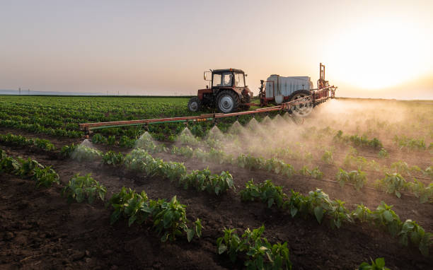 Best Pest Prevention Services  in Vinita, OK
