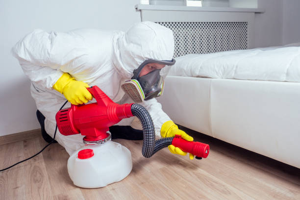 Wasp Removal Services in Vinita, OK