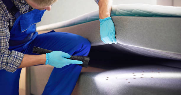 Best Local Pest Control Services  in Vinita, OK