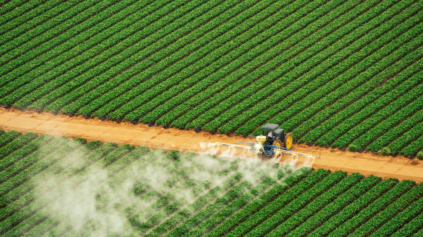 Best Pest Inspection Near Me  in Vinita, OK