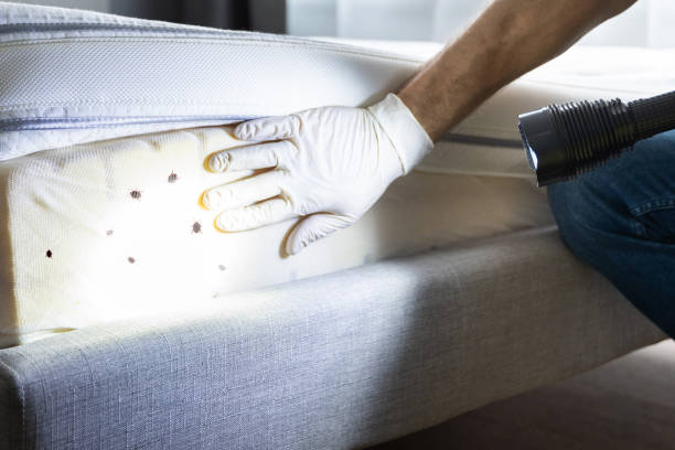 Professional Pest Control in Vinita, OK