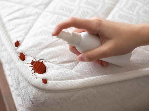 Best Bed Bug Extermination  in Vinita, OK