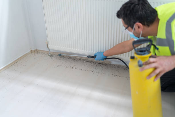 Best Pest Removal Services  in Vinita, OK