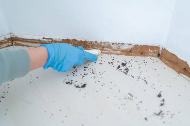 Best Insect Control  in Vinita, OK