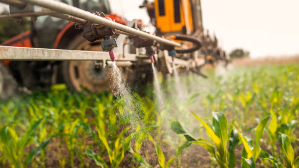 Best Best Pest Control Companies  in Vinita, OK